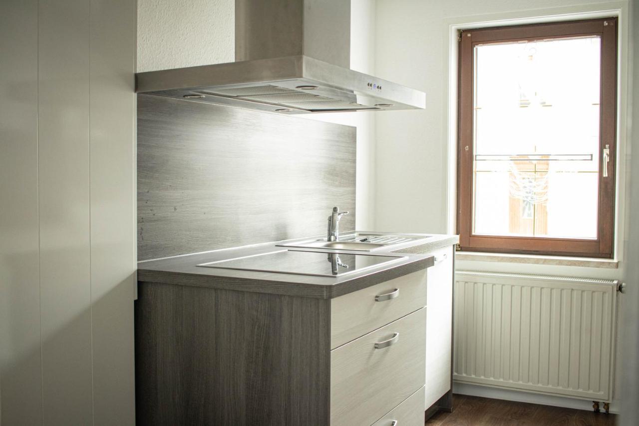 Ferienwohnung Am Schlosspark Ebersdorf  エクステリア 写真